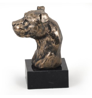 Amerykański Staffordshire terrier głowa na kamieniu Art-Dog